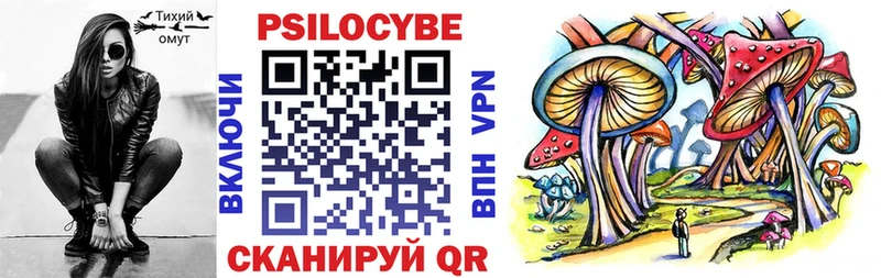 Купить  Покровск  Псилоцибиновые грибы мицелий 
