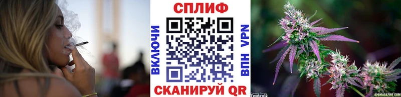 Купить закладки  Покровск  Каннабис индика 